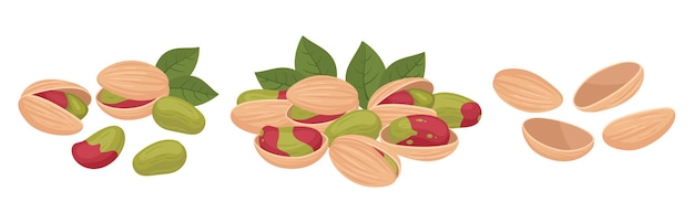 Cartoon pistachios handfuls Raw pistachio nuts in shell tasty nuts snack heaps flat vector illustration Organic delicious pistachio nuts on white