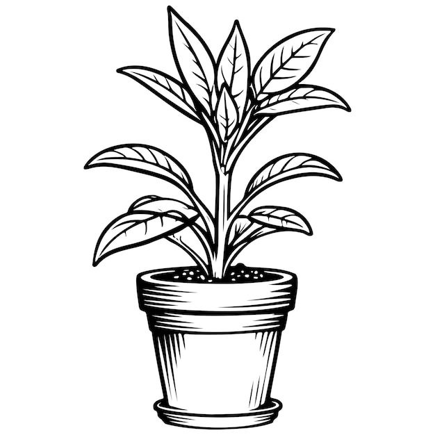 cartoon plant black hand drawn line illustration transparent background