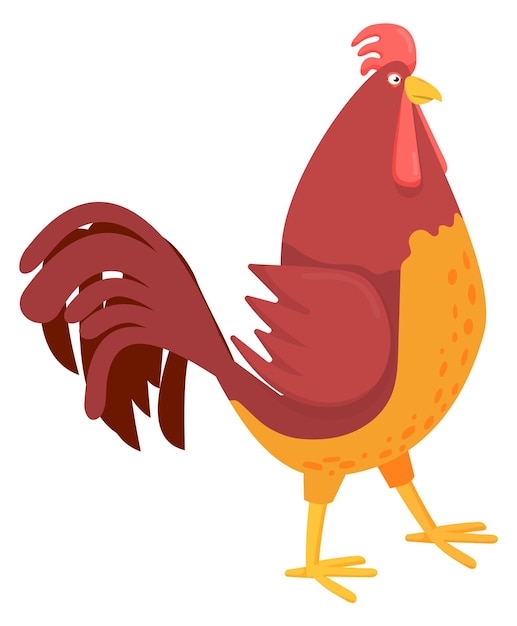 Cartoon poultry icon Farm chicken bird Walking rooster isolated on white background