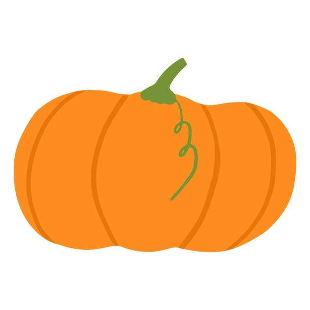 Cartoon pumpkin isolated on white background. Vector illustration