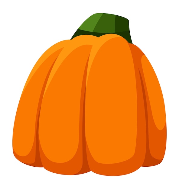 Cartoon pumpkin. Thanksgiving orange symbol, fall squash element isolated on white background