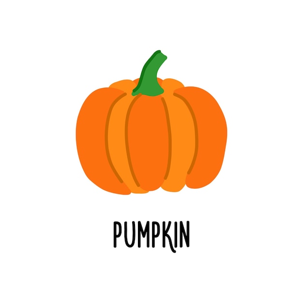 Cartoon pumpkin vector illustration with white background