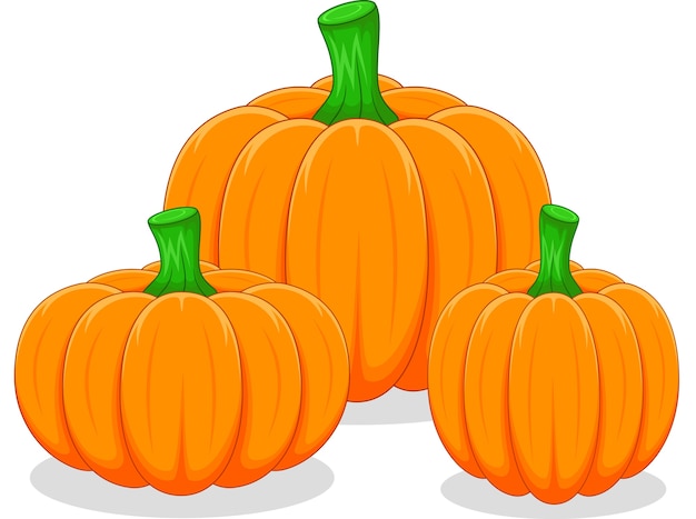 Cartoon pumpkin on white background