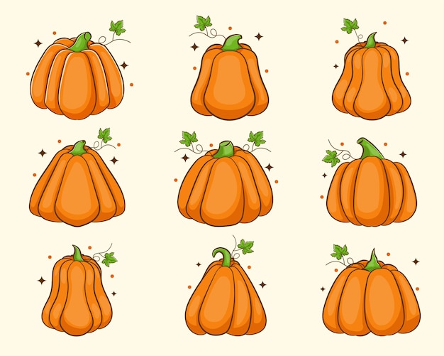 Cartoon pumpkins, halloween squash, fall harvest gourds. Autumn thanksgiving and halloween pumpkins