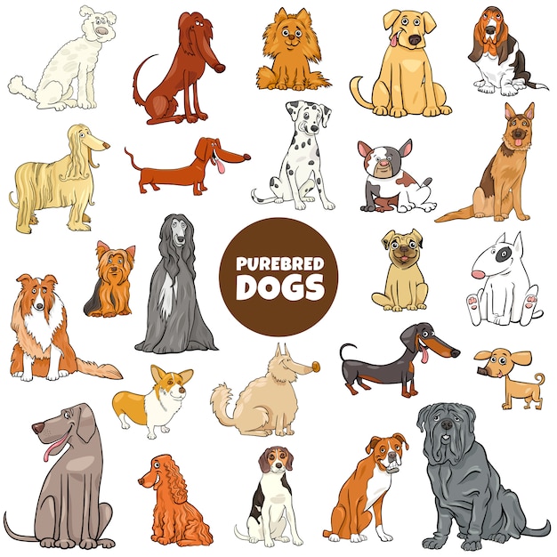 Cartoon purebred dog characters large set