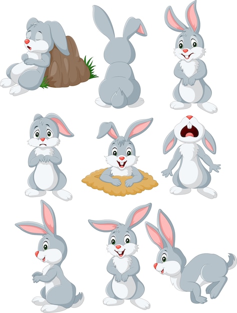 Cartoon rabbit with different pose and expression