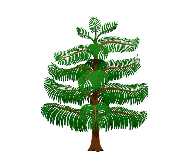 Cartoon rainforest tree evergreen tropical plant