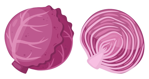 Cartoon red cabbage fresh vegetable whole veggie flat vector illustration on white background