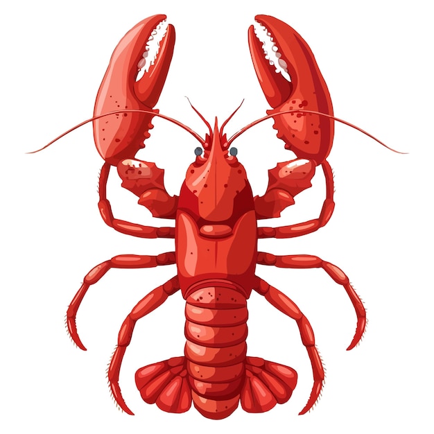 Vector cartoon red lobster isolated on white solid background