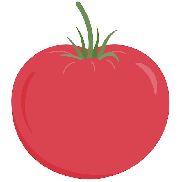 Cartoon red tomato Fresh vegetable