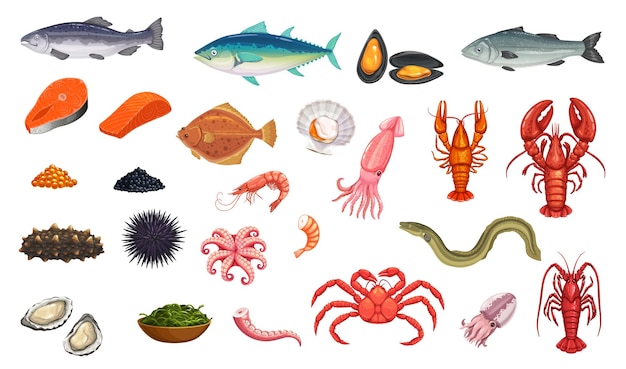 Cartoon seafood and fish vector food sea animals