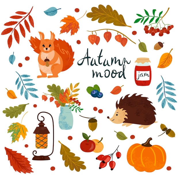 Cartoon set of autumn scrapbook element squirrel hedgehog pumpkin falling leaves flashlight jam