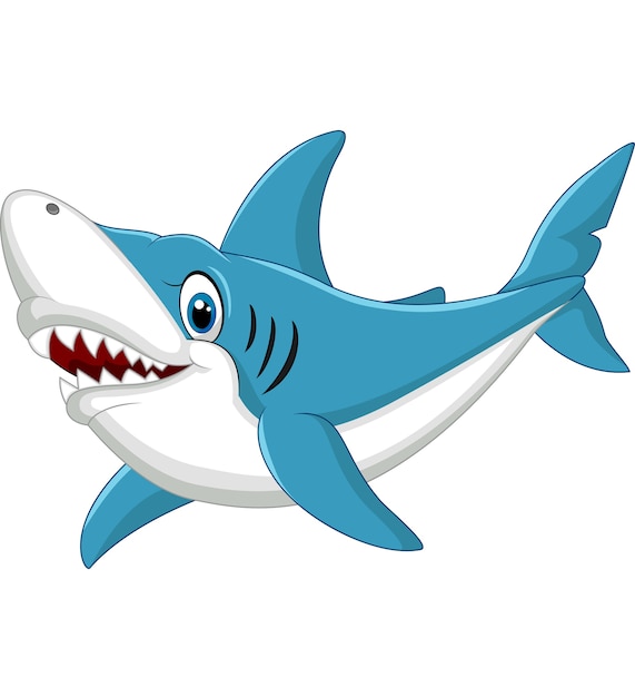 Cartoon shark isolated on white background