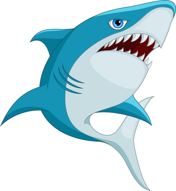 Cartoon shark isolated on white background