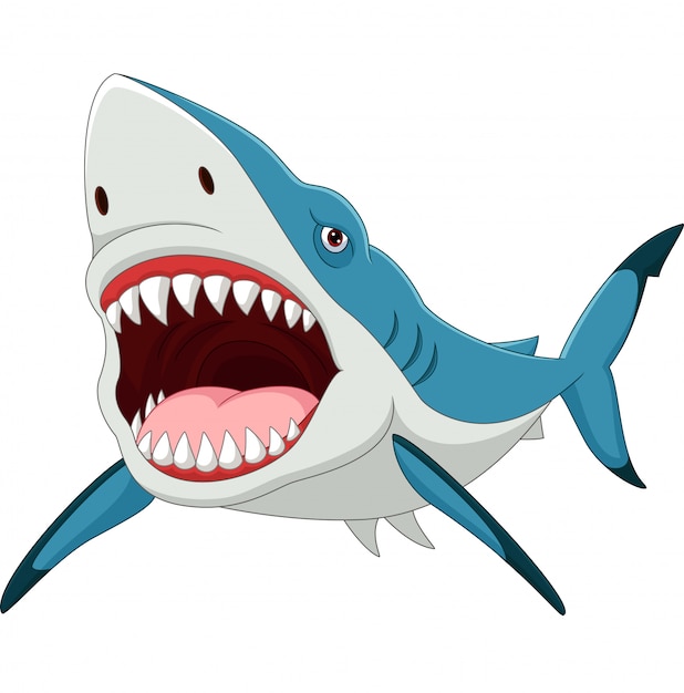 Cartoon shark with opened mouth