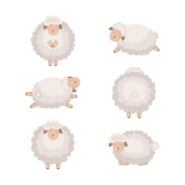 Cartoon sheep collection isolated on white.