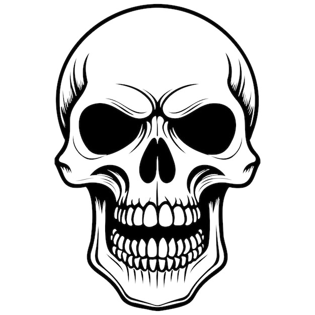 Vector cartoon skull monochrome hand drawn line illustration transparent background