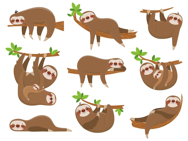 Cartoon sloths family 