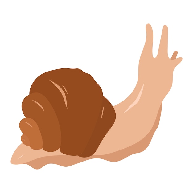 Cartoon snail with shell. Vector hand drawn illustration.