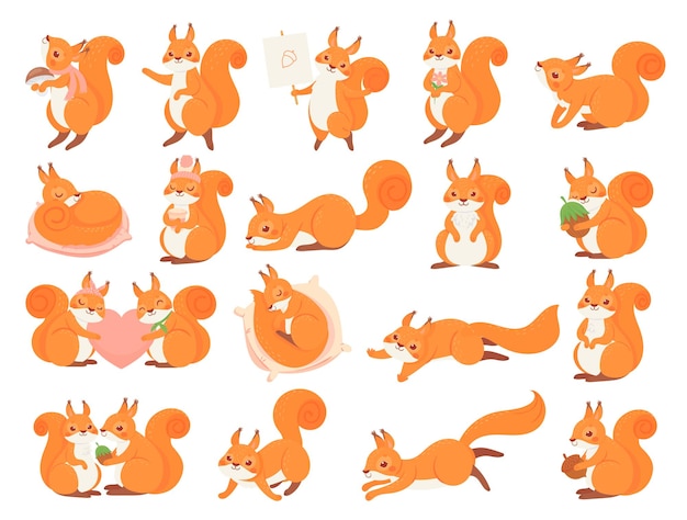 Cartoon squirrel collection poses happy and love