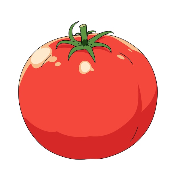 Cartoon tomato clip art style simple vector illustration with a white background