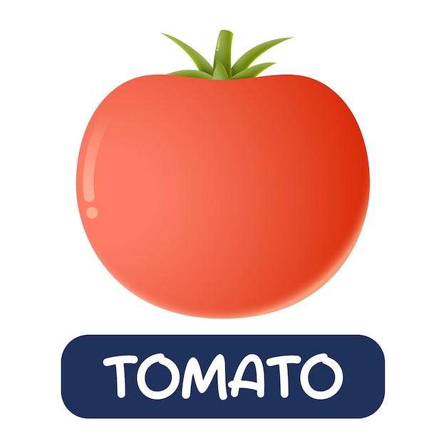 Cartoon tomato vegetables vector isolated on white background