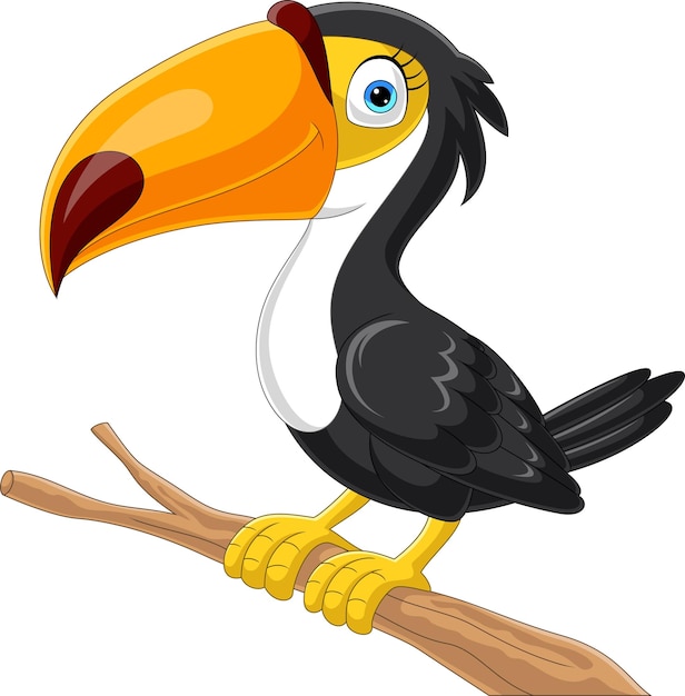 Cartoon toucan bird on tree branch