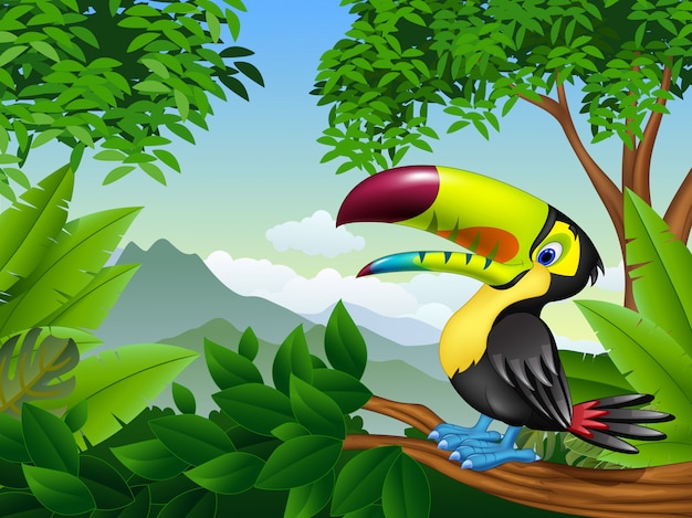 Cartoon toucan on a tree branch