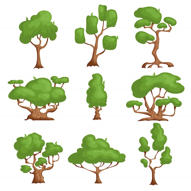 Cartoon trees set. Different types plants in comic style.