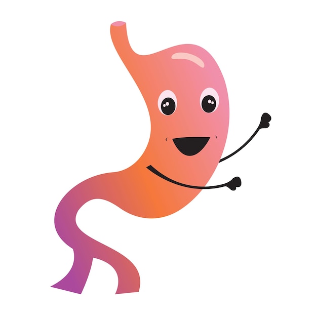 Cartoon vector graphic of a happy and healthy stomach