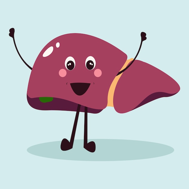 Cartoon Vector of a Healthy and Happy Liver