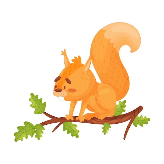 cartoon vector illustration of adorable red squirrel sitting on oak branch Small forest rodent with fluffy tail and cute muzzle isolated on white background