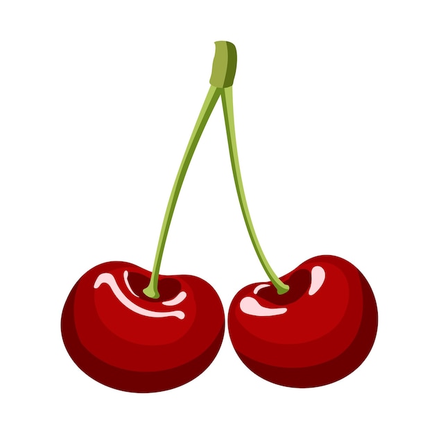 Cartoon vector illustration isolated object fresh food fruit cherry