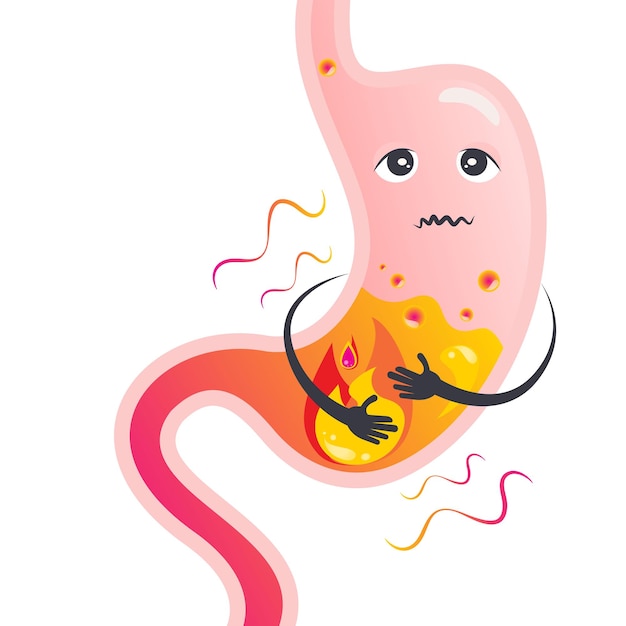 Cartoon vector illustration of an upset stomach full of acid