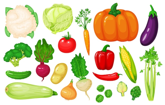 Cartoon vegetables carrot corn pepper celery cauliflower broccoli beetroot onion cucumber