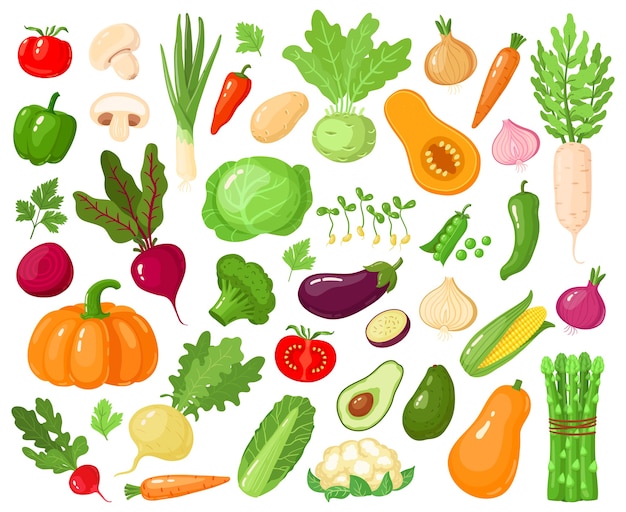 Cartoon vegetables. Vegan veggies food, tomato, pumpkin, zucchini and carrot, vegetarian fresh raw vegetable  illustration icons set. Vegetarian zucchini and carrot, pumpkin vegetable