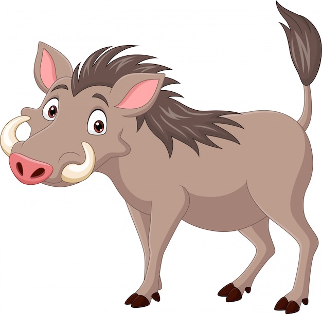 Cartoon warthog isolated