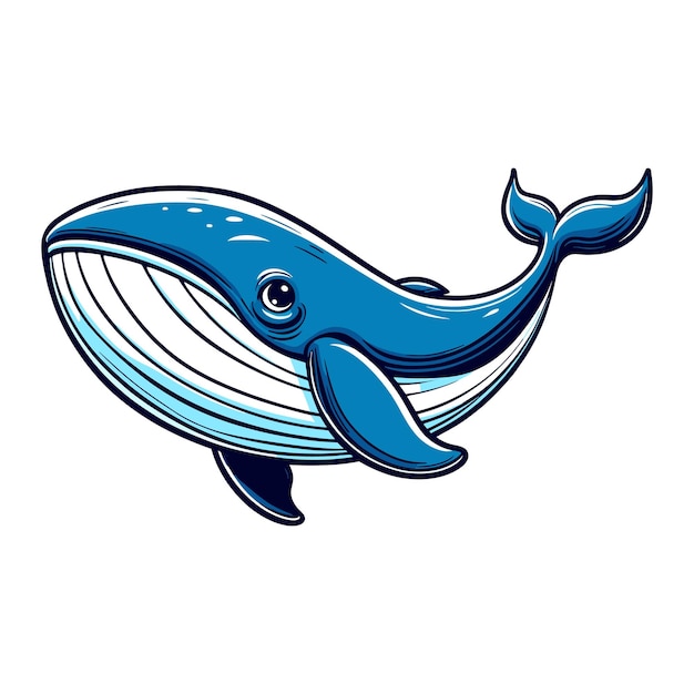 cartoon whale vector illustration