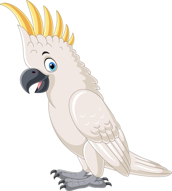 Cartoon white cockatoo on white background