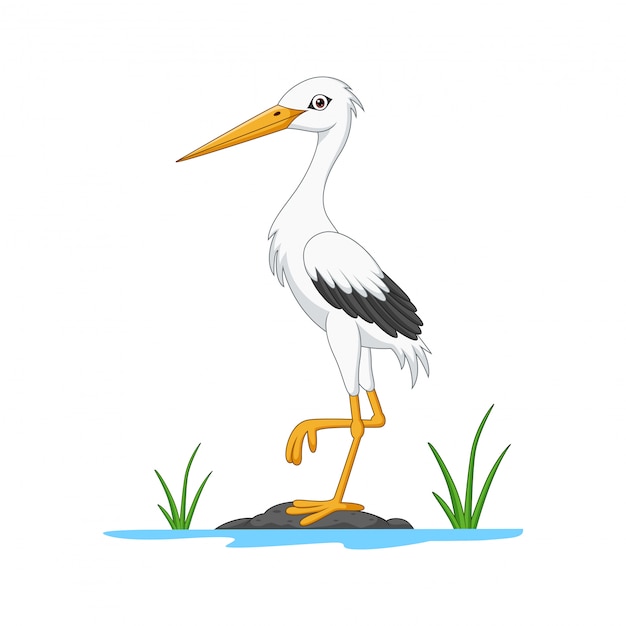 Cartoon white stork on stone