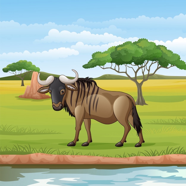 Cartoon wildebeest in the savannah