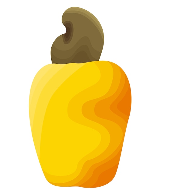 Cashew Fruit Illustration