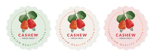 Cashew Fruit packaging design templates, watercolour style vector illustration.