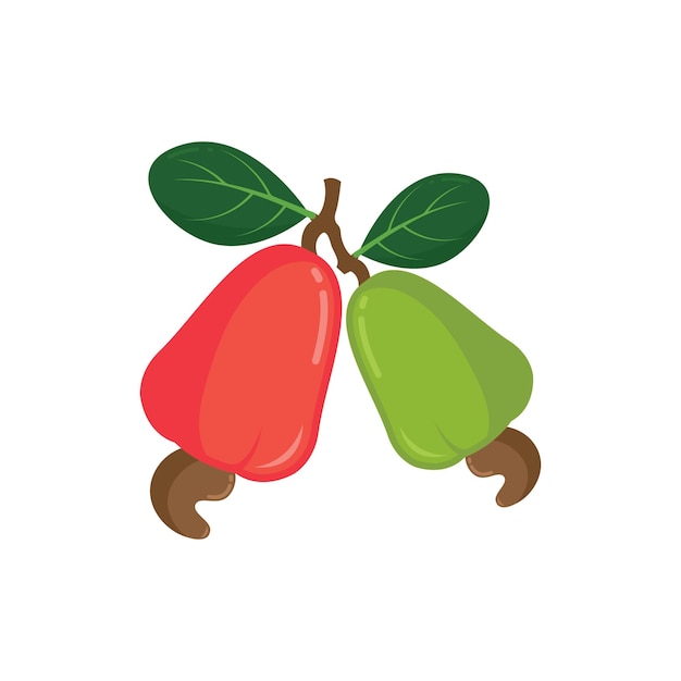 cashew nut vector illustration concept design templatecashew