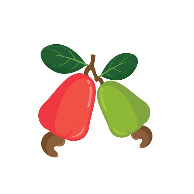 Cashew nut vector illustration concept design templatecashew