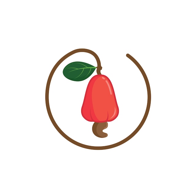 Cashew nut vector illustration concept design templatecashew