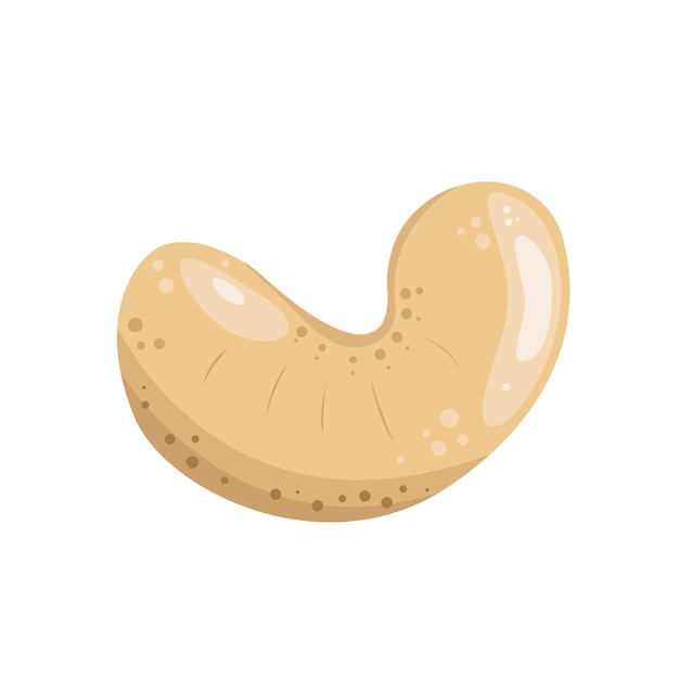 Cashew nut without shell illustration Cashews in the shell and without Useful natural product