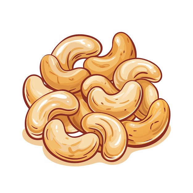 Vector cashews nuts in bowl illustration food vector