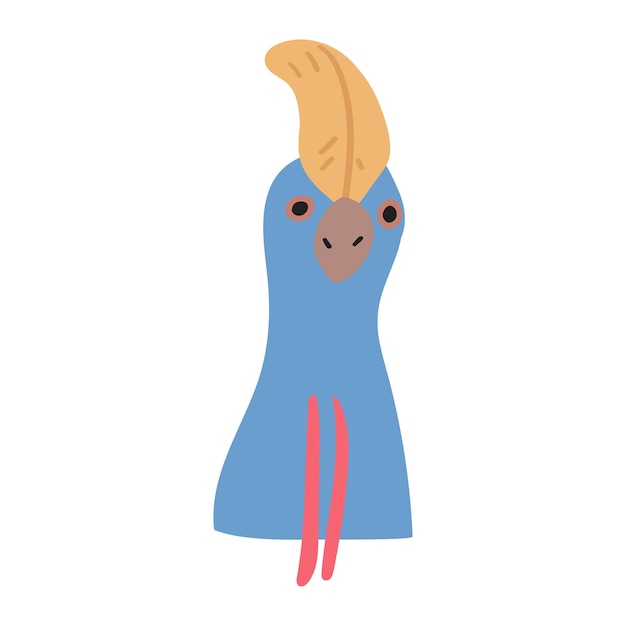 Cassowary. Bird. Flat hand drawn illustration on white background.