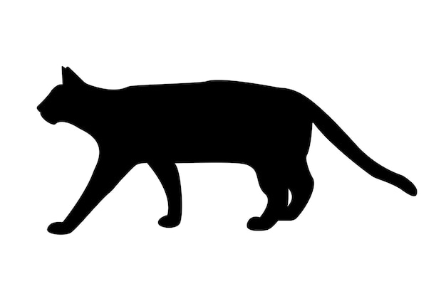 Cat animal Silhouette Vector Illustration